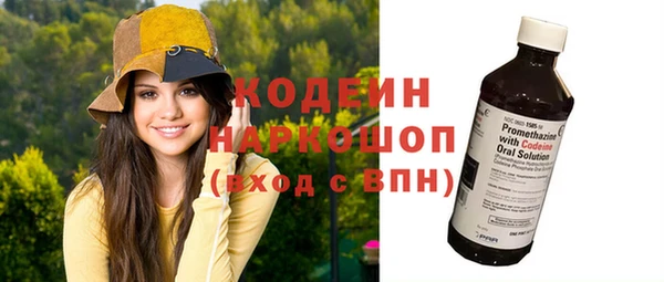 трава Карпинск