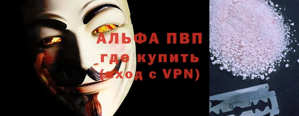 трава Карпинск