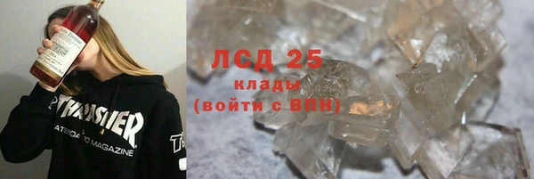 трава Карпинск