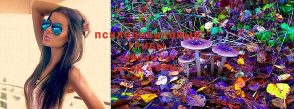 прущие грибы Карталы