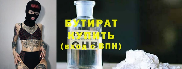 трава Карпинск