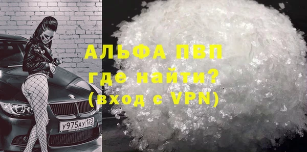 прущие грибы Карталы
