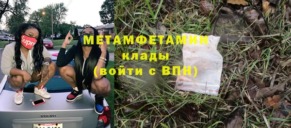прущие грибы Карталы