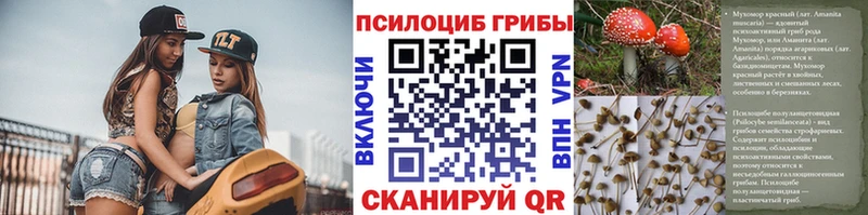 Купить закладки  Светлоград  Псилоцибиновые грибы прущие грибы 